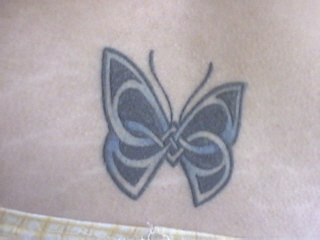 celtic butterfly - butterfly