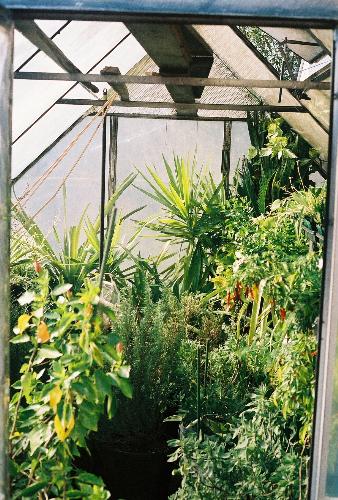 more greenhouse - my greenhouse