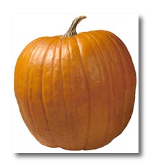 vegetable - pumpkin