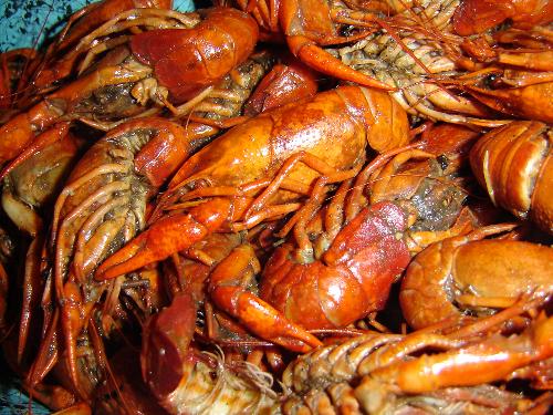 I love to eat Crawfish How about you! - I love it and and I want it. I haven't eaten great crawfish in over a year because i moved to Texas,   New Orleans send me crawfish!
