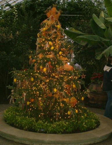 Christmas tree - This was taken at the Pittsburgh winter flower show.
