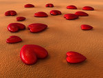 Hearts - hearts