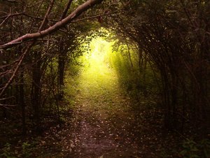 Secret Garden - Secret Garden
