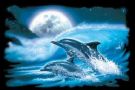 Such a pretty picture - So graceful