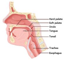 Sore Throat - Sore Throat