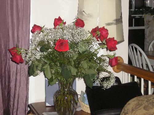 my birthday roses - my birthday roses