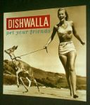dishwalla - dishwalla