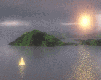 dolphins - .