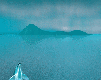 dolphins - .