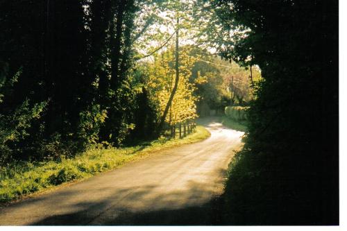 Jeremy's Lane - Bolney is riddled with narrow lanes and footpaths where one can walk for miles.