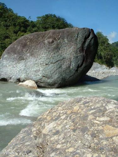 Wonders of the Earth - Fish like Mountain