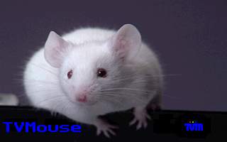 stuart littel - inteligent mouse with family