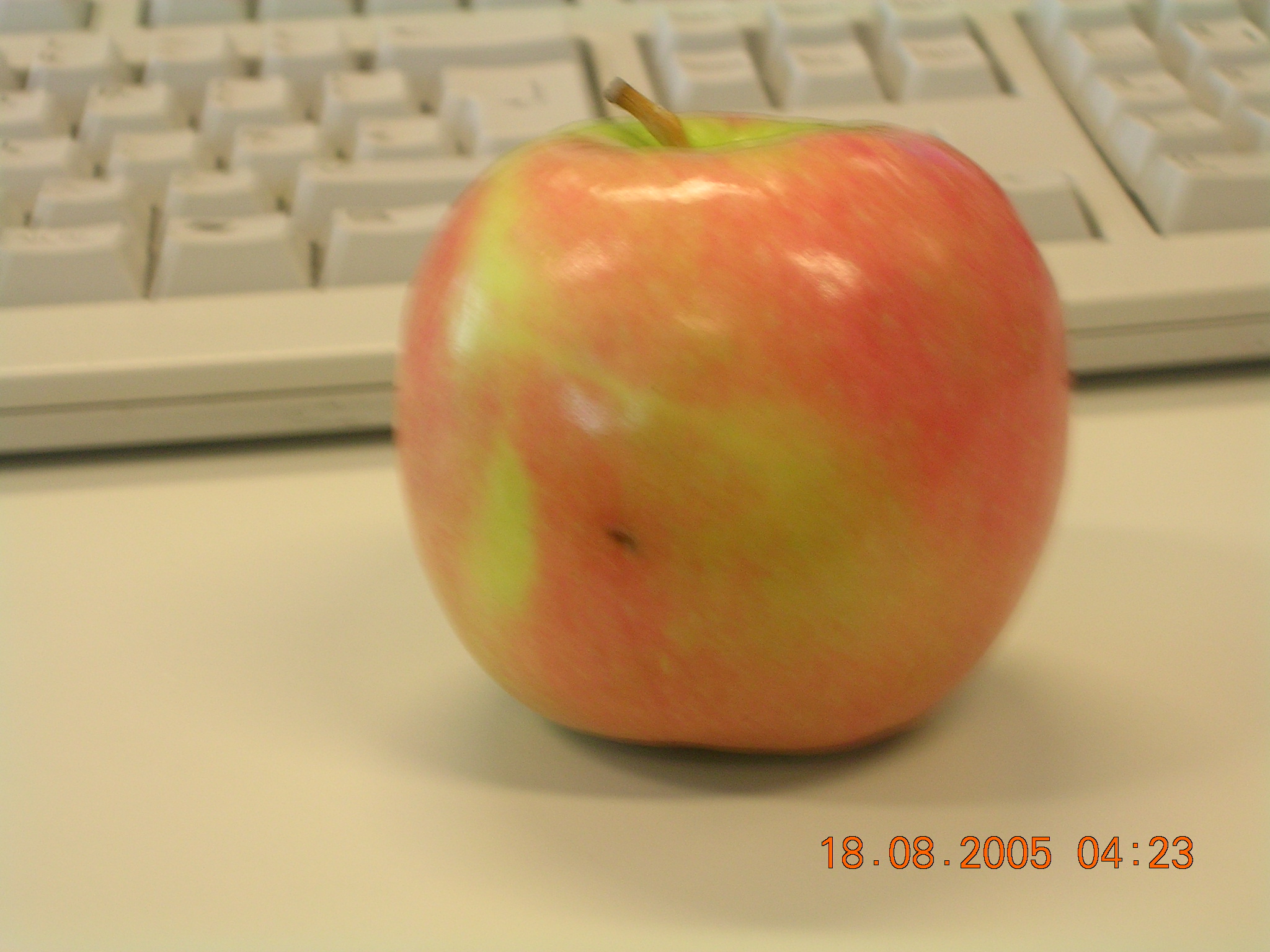 Apple - The best fruit i like