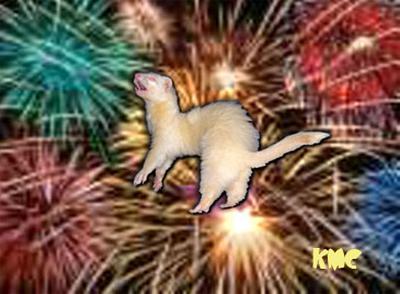 4th of July - a rescued fuzzy