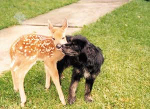 best friends - best friends