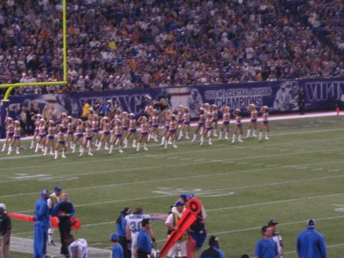 Vikings Cheerleaders - 2006 Vikings Cheerleaders at a game