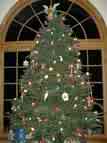 Christmas Tree - Wish mine was this big.
