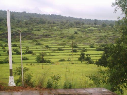 Green India. - This pic was taken during rainy season India becomes green every where and looks very beautifull.