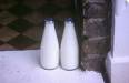 milk - milk