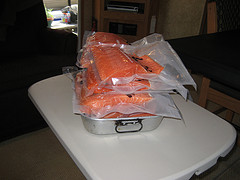 salmon fish - salmon fish