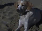 peggy2006 - peggy 2006
