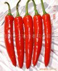 Hot pepper - Hot pepper