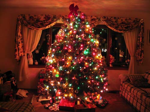 Christmas tree - A decorated christmas tree