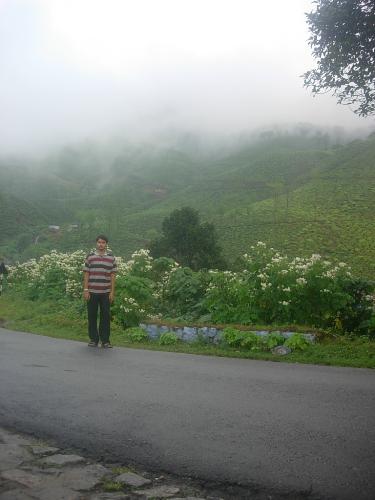 nature  - it is valparai a beautiful place near coimbatore