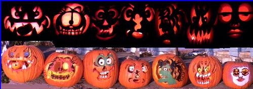 pumkins2 - tomany for 1 year yes or no