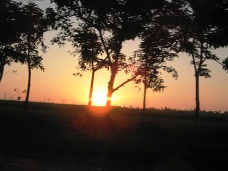sunset in Tabanan, Bali - i took the pict on the way home from Tabanan, a nice regency in Bali north.