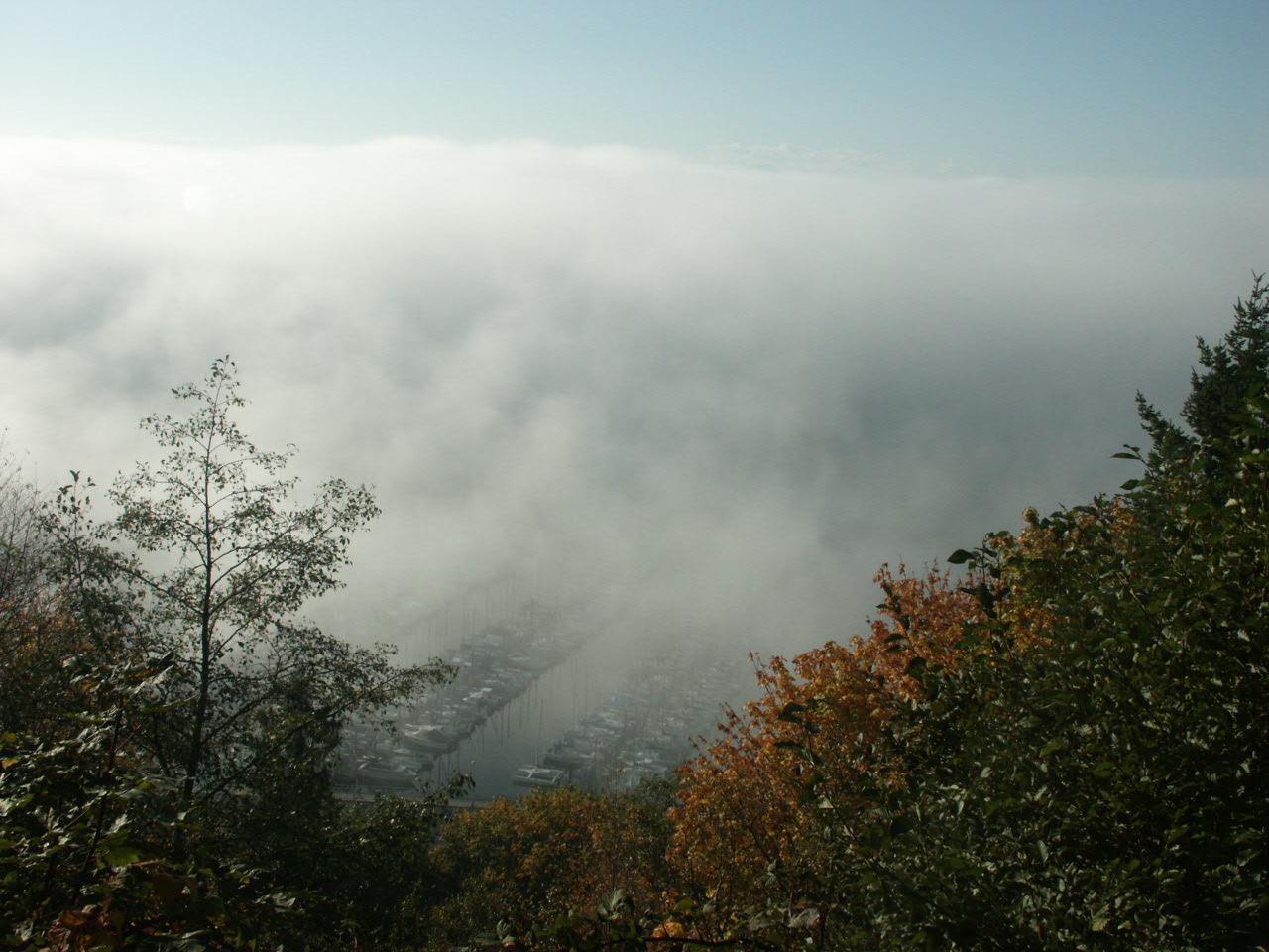 Mist in the Mountains - A misty morning in the foothills of the Olympic Mountains, Washington State
