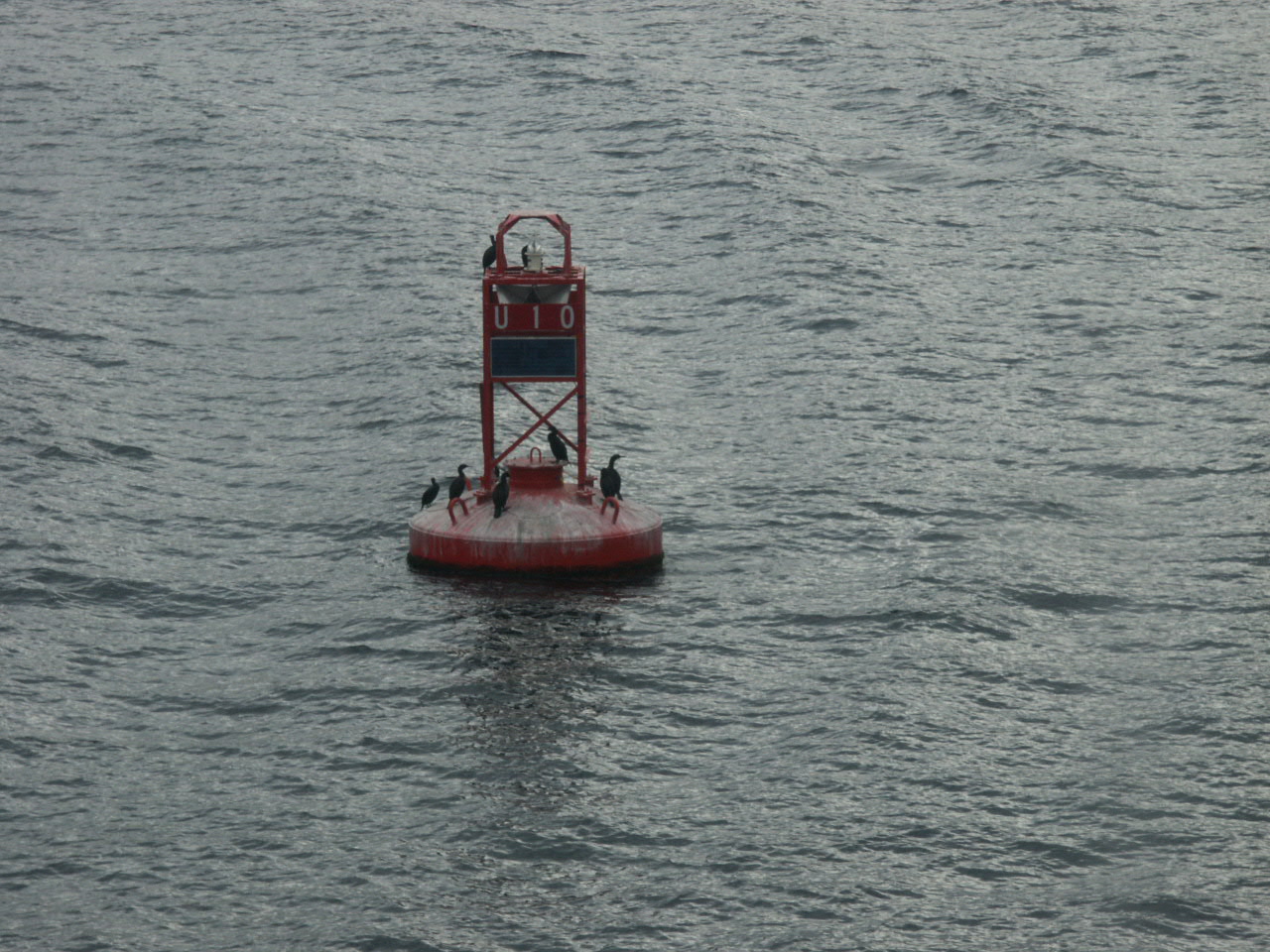 Buoy in the Strait - Navigation Bouy in the Straits of Juan de Fuca, Washington State, USA