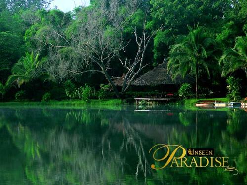 UNSEEN PARADISE - UNSEEN PARADISE