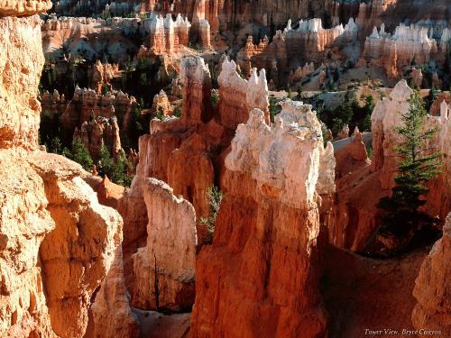 canyons - my second dreamland