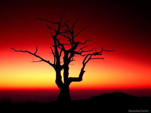 A beautiful sunset..!! - well this is for all those lovers who wants to see a sunset with their partner..Enjoy... and don't forget, there's    someone for you who loves you more than anything else..