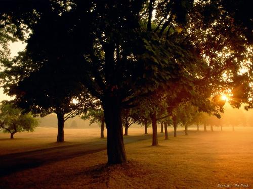 A sunrise...... - morning rays  are coming.. get ready to work dude......