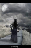 woman walking the path of life and is at the end o - womanon a path in the moonlight