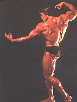 arnold0008 - arnold0008