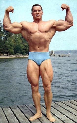 arnold0013 - arnold0013