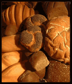 breads - breads
