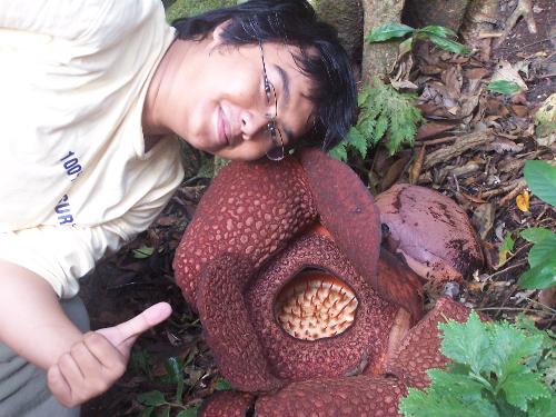 me and the biggest flower on earth - u know by looking the pic
