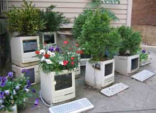old PC - In olden days these are more energitic and problem solver. Got very much credit to the purchasers. But with innovation of new systems, old went as plant pots for gardens.