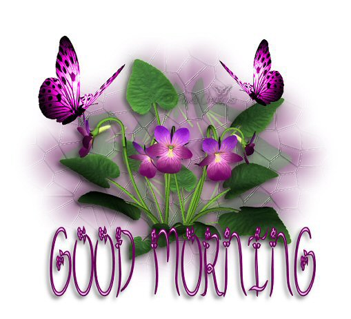 good morning - Just wanted to say 'Good morning' to you.