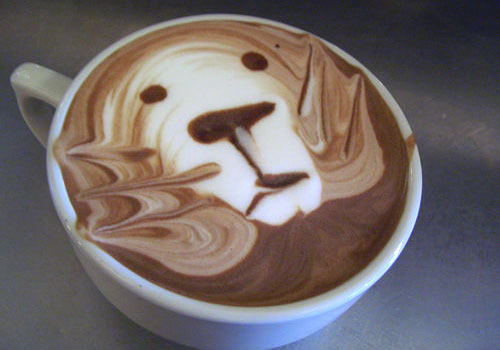 Coffee art - Great snapa!!!