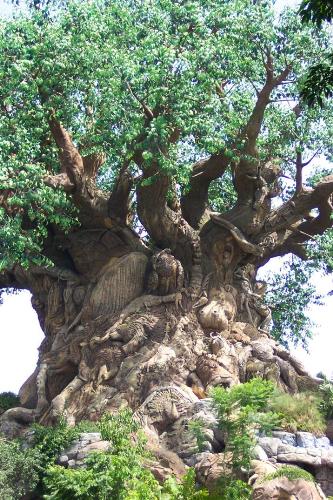 Mysterious Tree - treee with carvingsss on it...on an island.