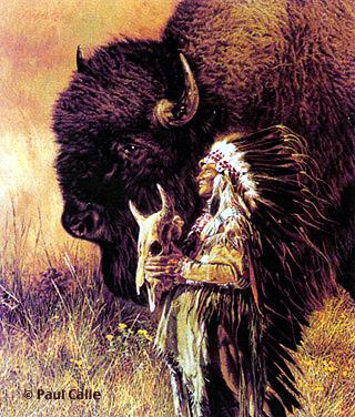 Buffalo Dance - Blackfoot Indian Buffalo Dance Story on TagWorld The Indian