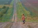 long way - long way