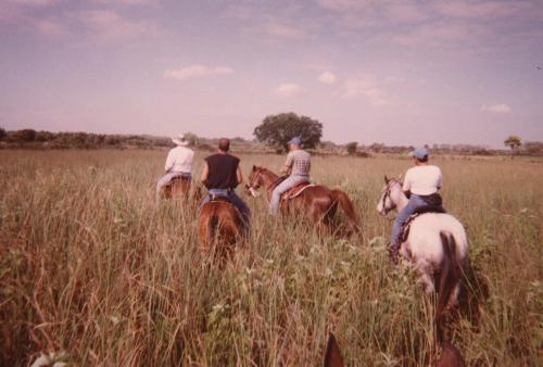 Horseback Riding - Horseback riding in the Florida Everglades
