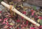 flute - flute