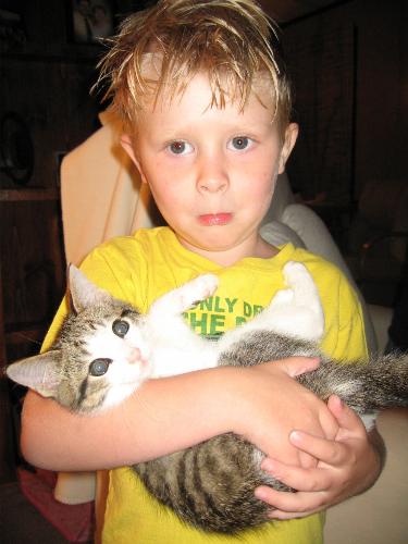 our cat - this is my son and our cat as a kitten